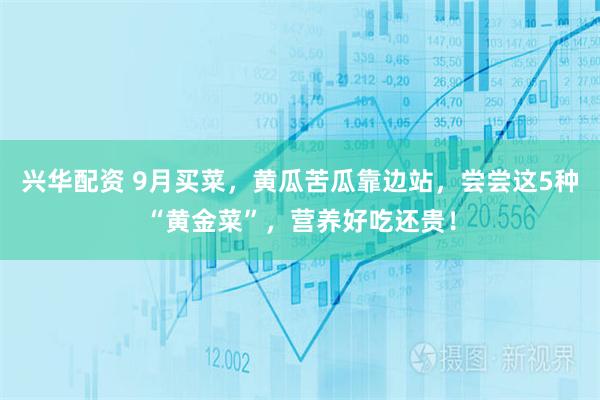 兴华配资 9月买菜，黄瓜苦瓜靠边站，尝尝这5种“黄金菜”，营养好吃还贵！