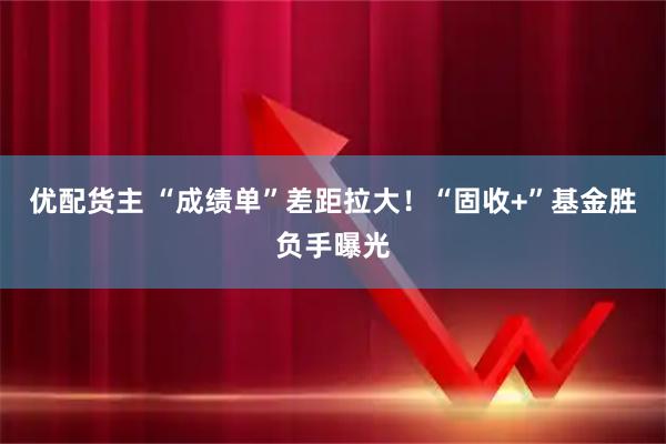 优配货主 “成绩单”差距拉大！“固收+”基金胜负手曝光