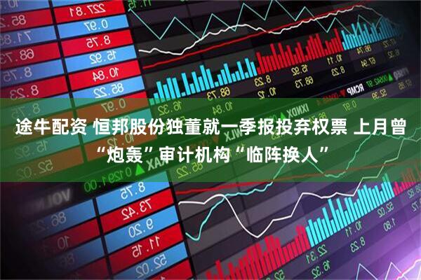 途牛配资 恒邦股份独董就一季报投弃权票 上月曾“炮轰”审计机构“临阵换人”