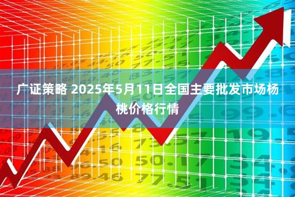 广证策略 2025年5月11日全国主要批发市场杨桃价格行情