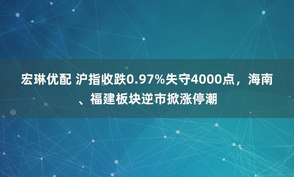 宏琳优配 沪指收跌0.97%失守4000点，海南、福建板块逆市掀涨停潮