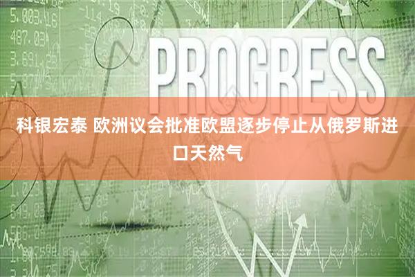 科银宏泰 欧洲议会批准欧盟逐步停止从俄罗斯进口天然气