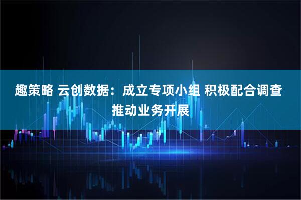 趣策略 云创数据：成立专项小组 积极配合调查 推动业务开展