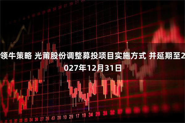 领牛策略 光莆股份调整募投项目实施方式 并延期至2027年12月31日