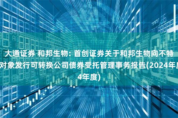 大通证券 和邦生物: 首创证券关于和邦生物向不特定对象发行可转换公司债券受托管理事务报告(2024年度)