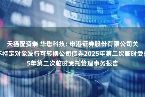天猫配资端 华懋科技: 申港证券股份有限公司关于华懋科技向不特定对象发行可转换公司债券2025年第二次临时受托管理事务报告