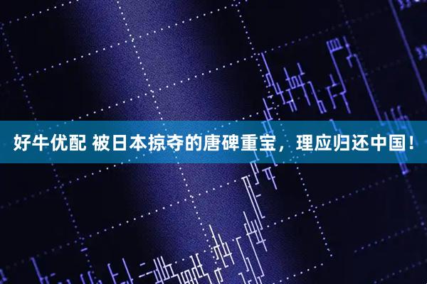 好牛优配 被日本掠夺的唐碑重宝，理应归还中国！