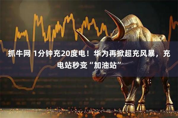 抓牛网 1分钟充20度电!华为再掀超充风暴,充电站秒变“加油站”
