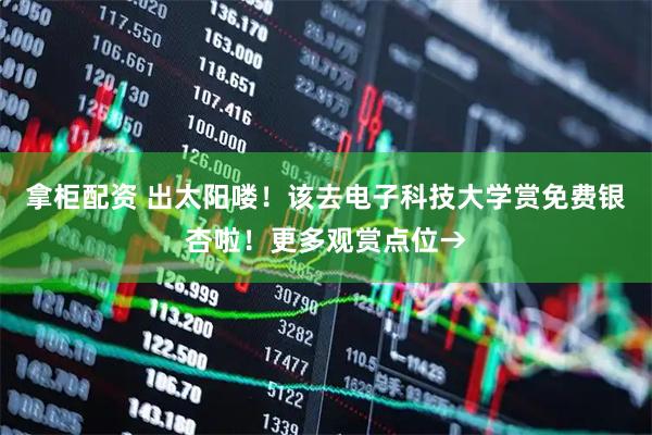 拿柜配资 出太阳喽!该去电子科技大学赏免费银杏啦!更多观赏点位→